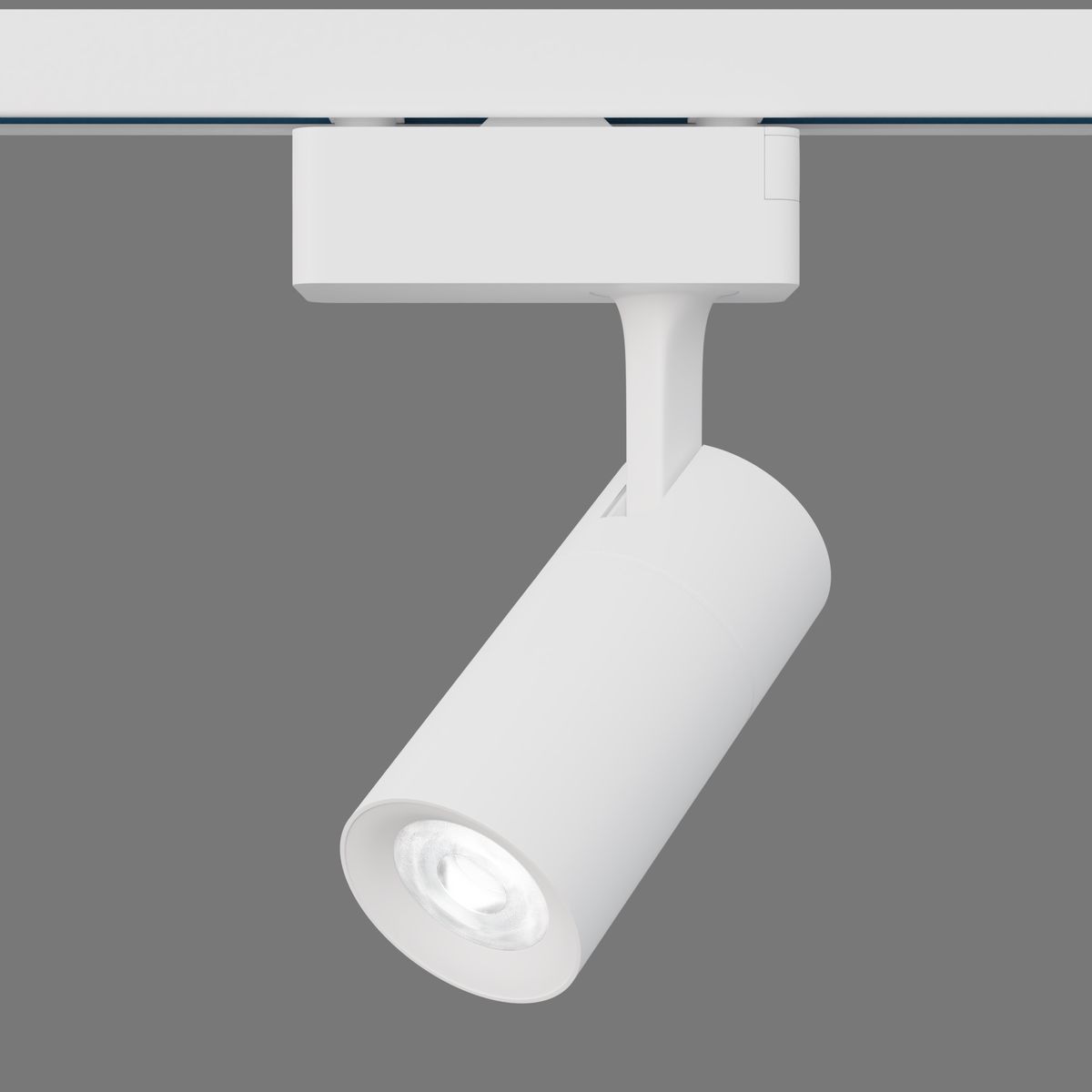 фото комплект из 2 трековых светодиодных светильников на шинопроводе apeyron 07-40 | 220svet.ru