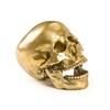Миниатюра фото статуэтка wunderkrammer human skull seletti | 220svet.ru
