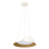 Миниатюра фото подвесной светильник светодиодный loft it lane 10370p white | 220svet.ru