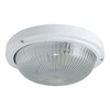 Миниатюра фото настенно-потолочный светильник tdm electric нпп 03-100-002 sq0311-0017 | 220svet.ru