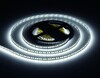 Миниатюра фото светодиодная лента холодный белый ambrella light 14,4w/m 180led/m 2835smd 6500к 5m gs1303 | 220svet.ru