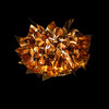 Миниатюра фото потолочный светильник loft it clizia 10593/530c gold | 220svet.ru