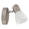Миниатюра фото спот toplight violet tl1231y-01sn | 220svet.ru