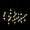 Миниатюра фото подвесная люстра delight collection molecular 30 black/gold | 220svet.ru