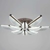 Миниатюра фото потолочный светильник reluce 00490-0.3-6+6 champagne silver | 220svet.ru
