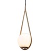Миниатюра фото подвесной светильник loft it glob loft2599-a | 220svet.ru