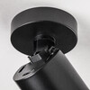 Миниатюра фото спорт поворотный lightstar rullo 213407 | 220svet.ru