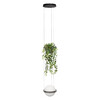 Миниатюра фото подвесной светильник loft it jardin 10121/1p dark grey | 220svet.ru