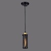 Миниатюра фото подвесной светильник favourite strainer 1788-1p | 220svet.ru