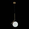 Миниатюра фото подвесной светильник st luce codda sl1148.313.01 | 220svet.ru