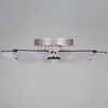 Миниатюра фото потолочный светильник reluce 00490-0.3-5+5 champagne silver | 220svet.ru