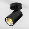 Миниатюра фото спорт поворотный lightstar rullo 213407 | 220svet.ru