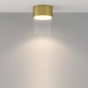 Миниатюра фото потолочный светильник maytoni glory c094cl-gx53-bs | 220svet.ru