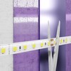 Миниатюра фото светодиодная лента maytoni led strip 24в 10153 | 220svet.ru