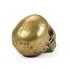 Миниатюра фото статуэтка wunderkrammer human skull seletti | 220svet.ru