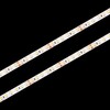 Миниатюра фото led светодиодная лента loft it strip 5m, 9,6w/m, 24v, 3000k, ip20 10363/12020 ww | 220svet.ru