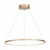 Миниатюра фото подвесной светодиодный светильник st luce st603.243.34 | 220svet.ru