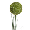 Миниатюра фото алиум зеленый garda decor 8j-13rs0013 | 220svet.ru