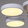 Миниатюра фото светильник потолочный reluce 03322-0.3-08 wh+wood | 220svet.ru