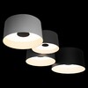 Миниатюра фото потолочный светильник loft it duo 10360/4 | 220svet.ru