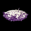 Миниатюра фото потолочный светильник loft it clizia 10593/780c purple | 220svet.ru