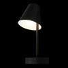 Миниатюра фото настенный светильник loft it shelf 10216/1w black | 220svet.ru
