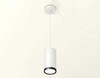 Миниатюра фото комплект подвесного светильника ambrella light techno spot xp (a2331, c8161, n8113) xp8161012 | 220svet.ru