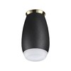 Миниатюра фото потолочный светильник novotech gent 370911 | 220svet.ru