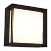 Миниатюра фото уличный потолочный светильник st luce cubista sl077.402.01 | 220svet.ru