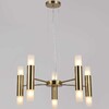 Миниатюра фото потолочный светильник illumico il0314-10p-79 brass | 220svet.ru