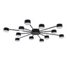Миниатюра фото потолочная люстра lumion torina 8344/12c черный | 220svet.ru