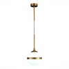 Миниатюра фото подвесной светильник st luce arbe sl1157.303.01 | 220svet.ru