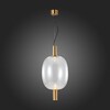 Миниатюра фото подвесной светодиодный светильник st luce allenore sl1582.313.01 | 220svet.ru