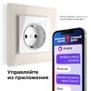 Миниатюра фото умная розетка с заземлением с защитными шторками werkel w1171601 | 220svet.ru
