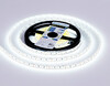 Миниатюра фото светодиодная лента 14.4w m 24v  6500k 5m ambrella light led strip 24v gs3213 | 220svet.ru