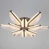 Миниатюра фото потолочный светильник reluce 00490-0.3-6+6 champagne silver | 220svet.ru