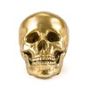 Миниатюра фото статуэтка wunderkrammer human skull seletti | 220svet.ru
